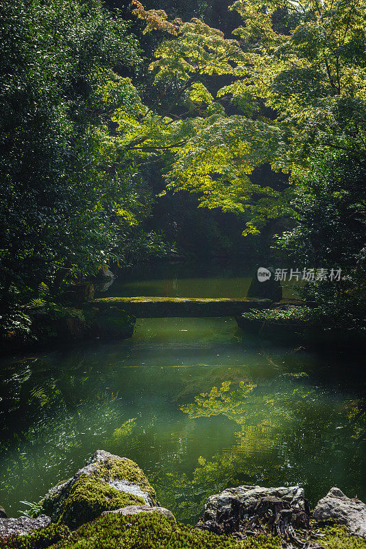 Chion-in Hojo Garden，日本，京都市